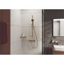 Hansgrohe brusehylde Addstoris bronze