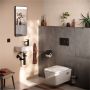 Hansgrohe toiletbørste med holder Addstoris mat sort