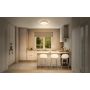 Osram loftlampe Smart+ Matter Gisela sølv LED Ø30 cm