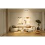 Osram loftlampe Smart+ Matter Gisela sort LED Ø30 cm