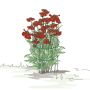 Bellissa planteholder til stauter