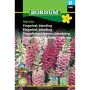 Hornum blomsterfrø Fingerbøl, blanding