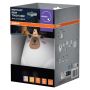 Osram natlampe Nightlx Bjørn USB 0,7 W