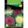 Hornum plantefrø Pyntekål