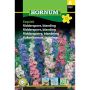 Hornum blomsterfrø Ridderspore, blanding