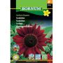 Hornum blomsterfrø Solsikke Velvet Queen