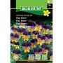 Hornum blomsterfrø Viol, Horn-