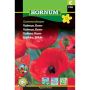 Hornum blomsterfrø Valmue, Korn-