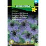 Hornum blomsterfrø Jomfruen i det Grønne