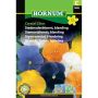 Hornum blomsterfrø Stedmoderblomst, blanding