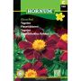 Hornum blomsterfrø Tagetes Disco Red