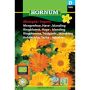 Hornum krydderurtefrø Økologisk Morgenfrue, Have-, blanding