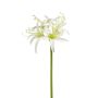 Emerald kunstig snitblomst Amaryllis Spider creme 73 cm 