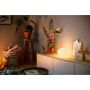 Philips Hue bordlampe Flourish White and Color Ambiance LED E27 Ø26 cm