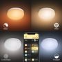 Philips Hue LED-loftlampe Flourish Bluetooth hvid 