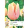 Kapiteyn blomsterløg tulipan Triumph Mango Charm 10 stk. 