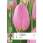 Kapiteyn blomsterløg tulipan Single Pink 7 stk. 