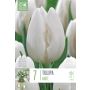 Kapiteyn blomsterløg tulipan Single White 7 stk. 