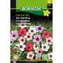 Hornum blomsterfrø hør blanding Charmer Mix