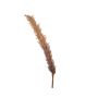 Kunstig pampasgræs plast lysebrun 110 cm 
