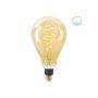 Wiz LED-edisonpære Whites guld PS160 E27 6,5 W