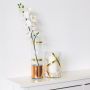 d-c-fix dekorationsfolie rose gold 150x45 cm 