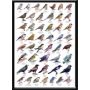 LaFinesse indrammet billede Natur 30x42 cm assorteret