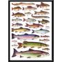 LaFinesse indrammet billede Natur 30x42 cm assorteret