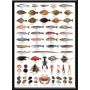 LaFinesse indrammet billede Natur 30x42 cm assorteret