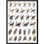 LaFinesse indrammet billede Natur 30x42 cm assorteret