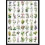 LaFinesse indrammet billede Natur 30x42 cm assorteret