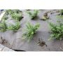 Plantex fiberdug Weedmax 2x3 m