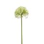 Emerald kunstig alliumstilk grøn 62 cm 