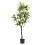 Emerald Dracaena med potte 130 cm