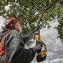 DeWalt kædesav t/grene med forlængerskaft DCMPS567N 18V XR 20cm u/batteri & lader