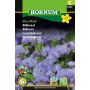 Hornum blomsterfrø blåkvast Blue Mink 
