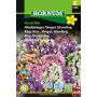 Hornum blomsterfrø hindebæger Vinget blanding Pastel mix 