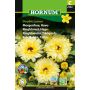 Hornum blomsterfrø morgenfrue Have Double Lemon 
