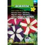 Hornum blomsterfrø petunia Have blanding Stars of the Show mix