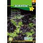 Hornum blomsterfrø Petunia Have Blackberry F1