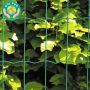 Hortus havehegn grøn 0% PVC 5x10x200cm 25meter