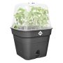 Elho minivæksthus Green Basics sort 20 cm