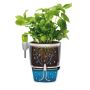 Elho urtepotte Brussels Herbs All-in-1 antracit Ø16 cm