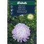 Weibulls blomsterfrø aster pion Silvery Rose 