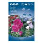 Weibulls blomsterfrø stokrose 