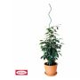 Bellissa plantespiral grøn Ø5 mm 110 cm 