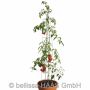 Bellissa tomattårn espalier galvaniseret 120 cm 