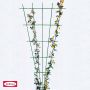 Bellissa rosenespalier grøn 150x75 cm