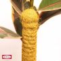 Bellissa bambusstok 110 cm Ø45 mm  