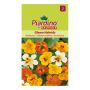 Piardino blomsterfrø tallerkensmækker Gleam Hybrids 